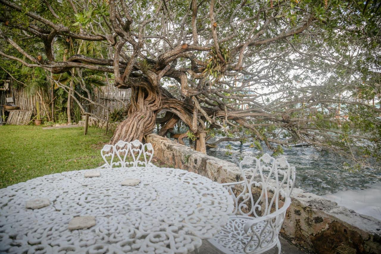 Lucia'S Lagoon House: Free Kayaks And Bikes Bacalar Exterior foto