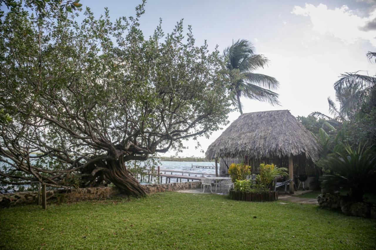 Lucia'S Lagoon House: Free Kayaks And Bikes Bacalar Exterior foto